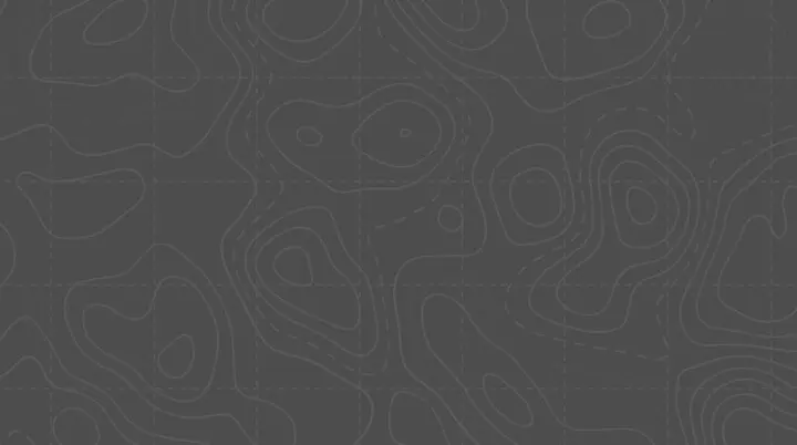 topografische Linien - grau
